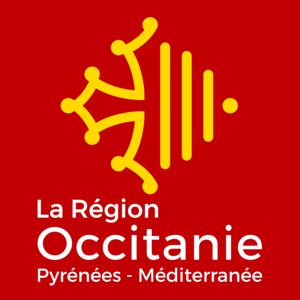 Pour une région Occitanie plus inclusive et solidaire – ... Image 1